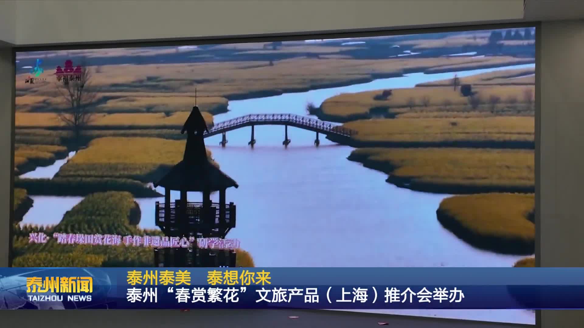 泰州泰美  泰想你来  泰州“春赏繁花”文旅产品（上海）推介会举办